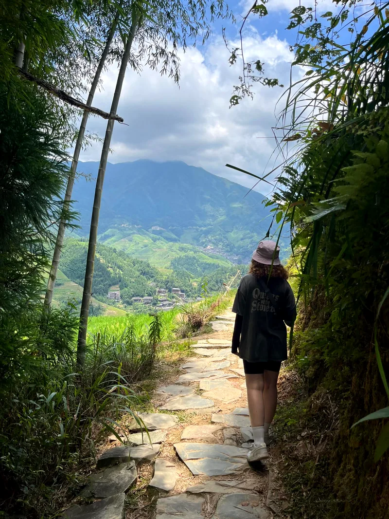 Un sentier de randonnée dans la végétation